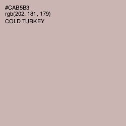 #CAB5B3 - Cold Turkey Color Image